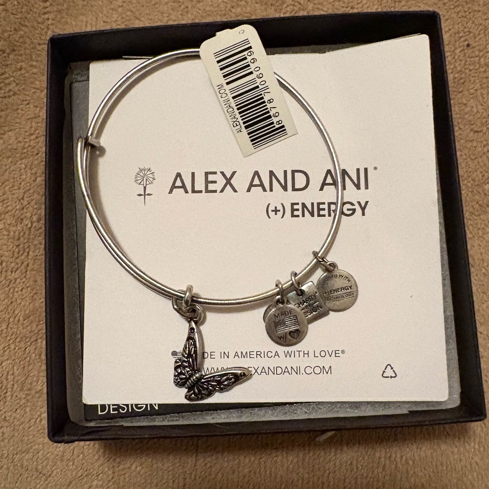 Alex and Ani Silver Charm Bangle